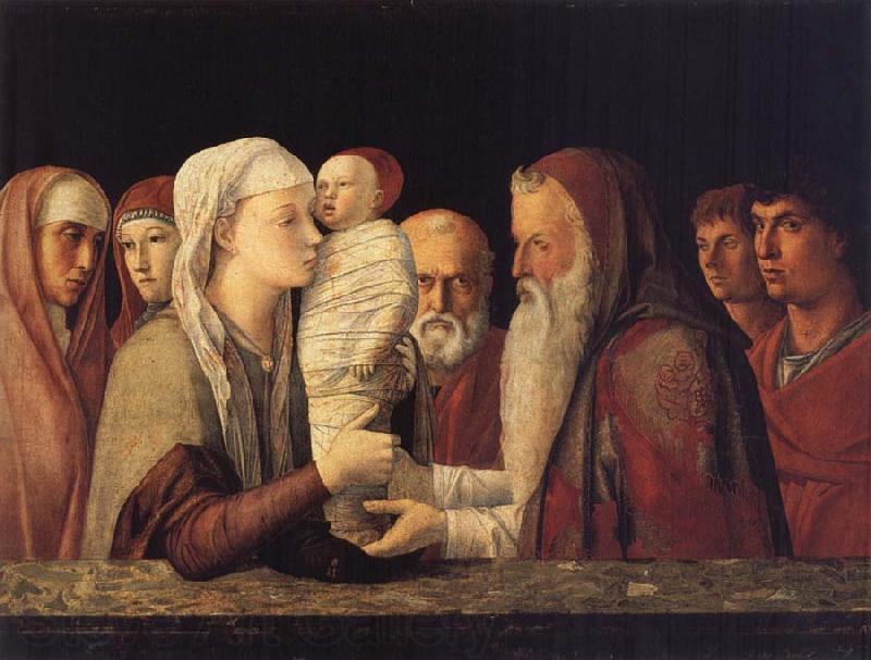 Gentile Bellini Presentation in the Temple Norge oil painting art